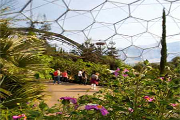 flower cornwall tours rail spring