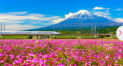 Grand Tour of Japan