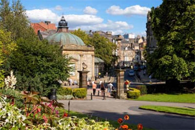 The Harrogate Flower Show