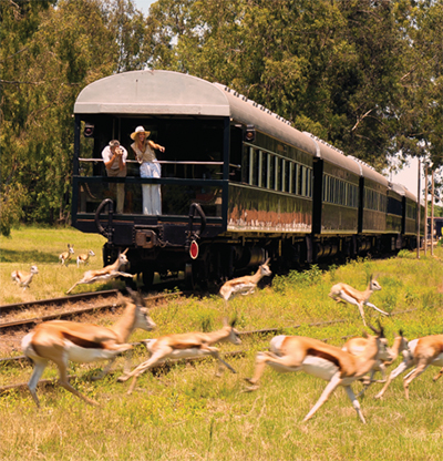 Tracks of Africa